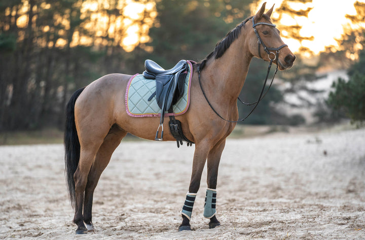 Teaparty Green Saddle Pad (Limited Edition)