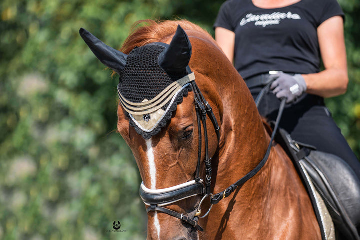 Champagne Browband