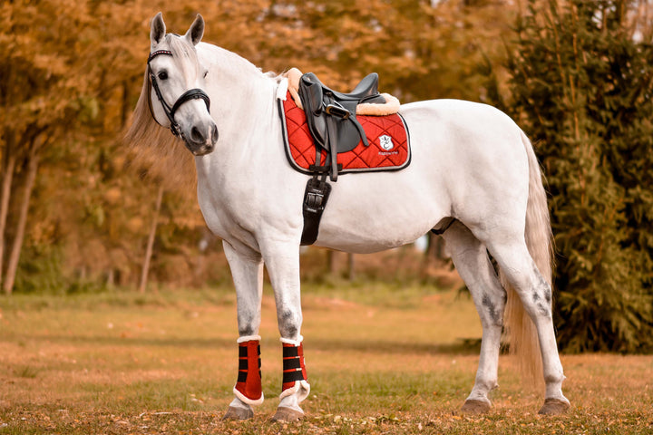 Scarlet Red Saddle Pad