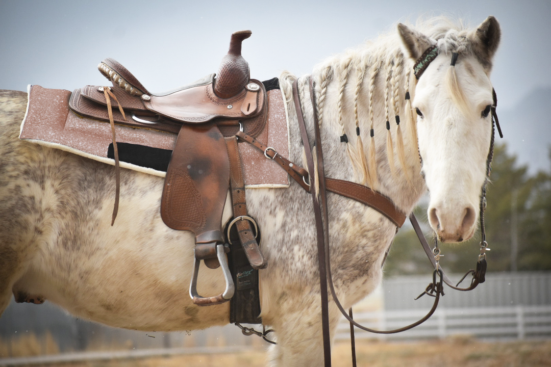 Rose Quartz Western Saddle Pad