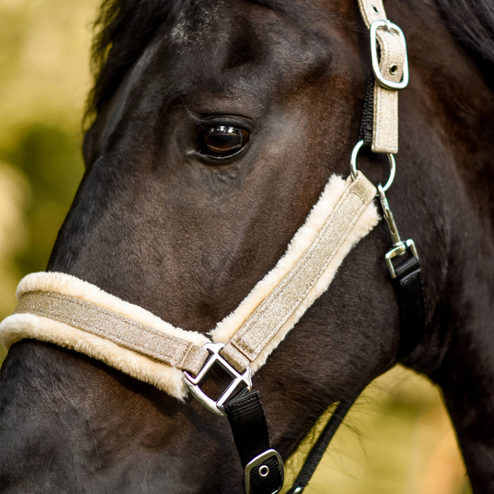 Champagne Halter