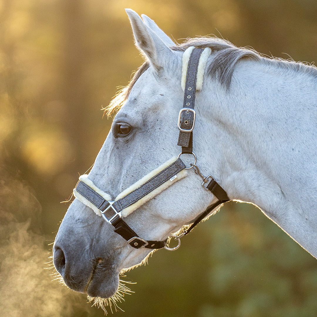 Stardust Grey Halter