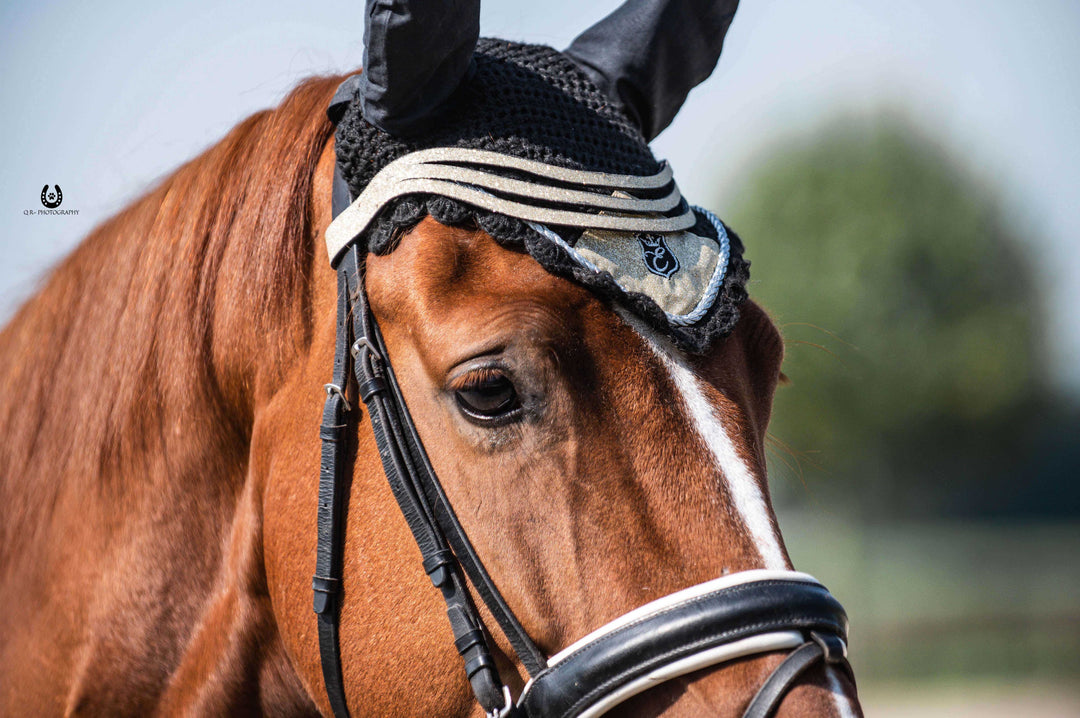 Champagne Browband