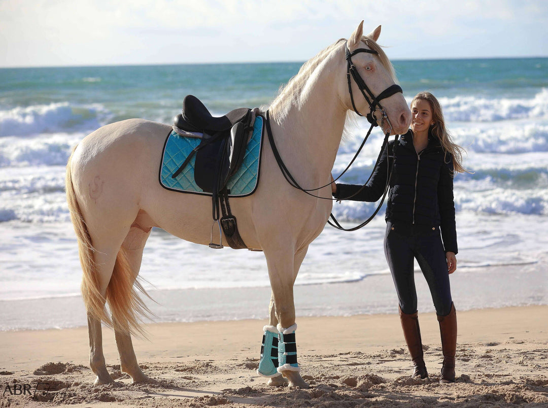 Baby Blue Saddle Pad Set