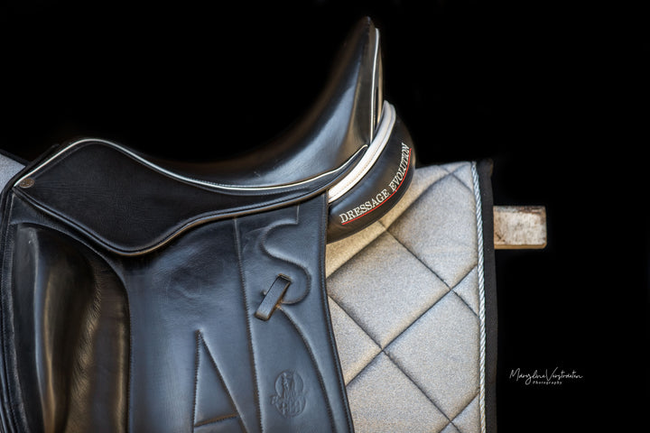 Royal Silver Saddle Pad Set