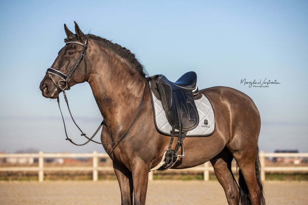 Royal Silver Saddle Pad Set