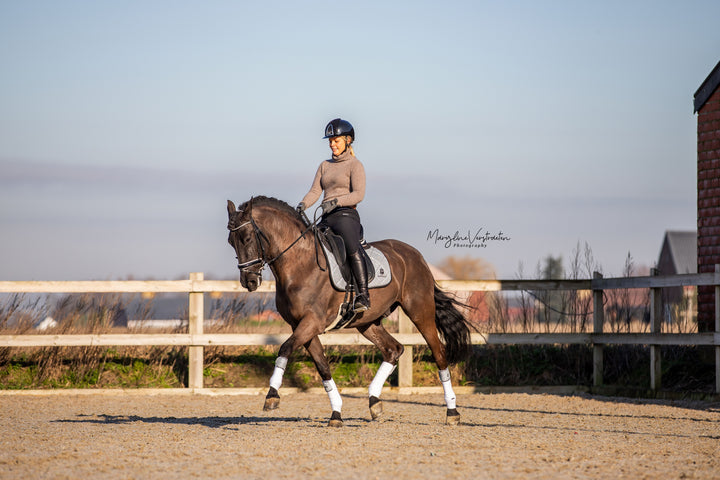 Royal Silver Saddle Pad Set