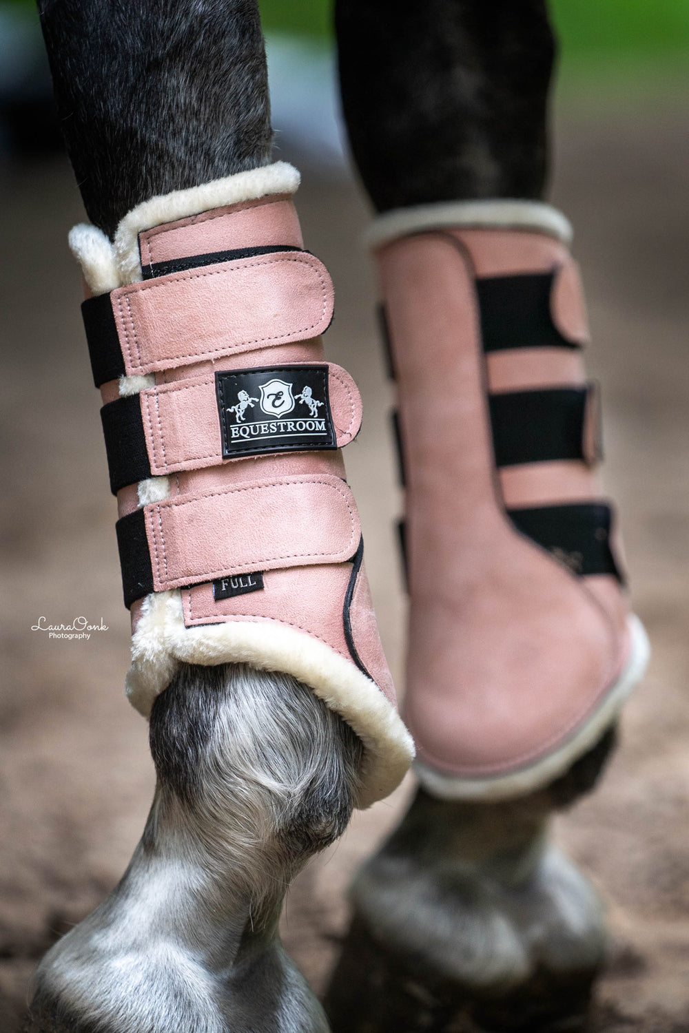 Powder Pink – Equestroom