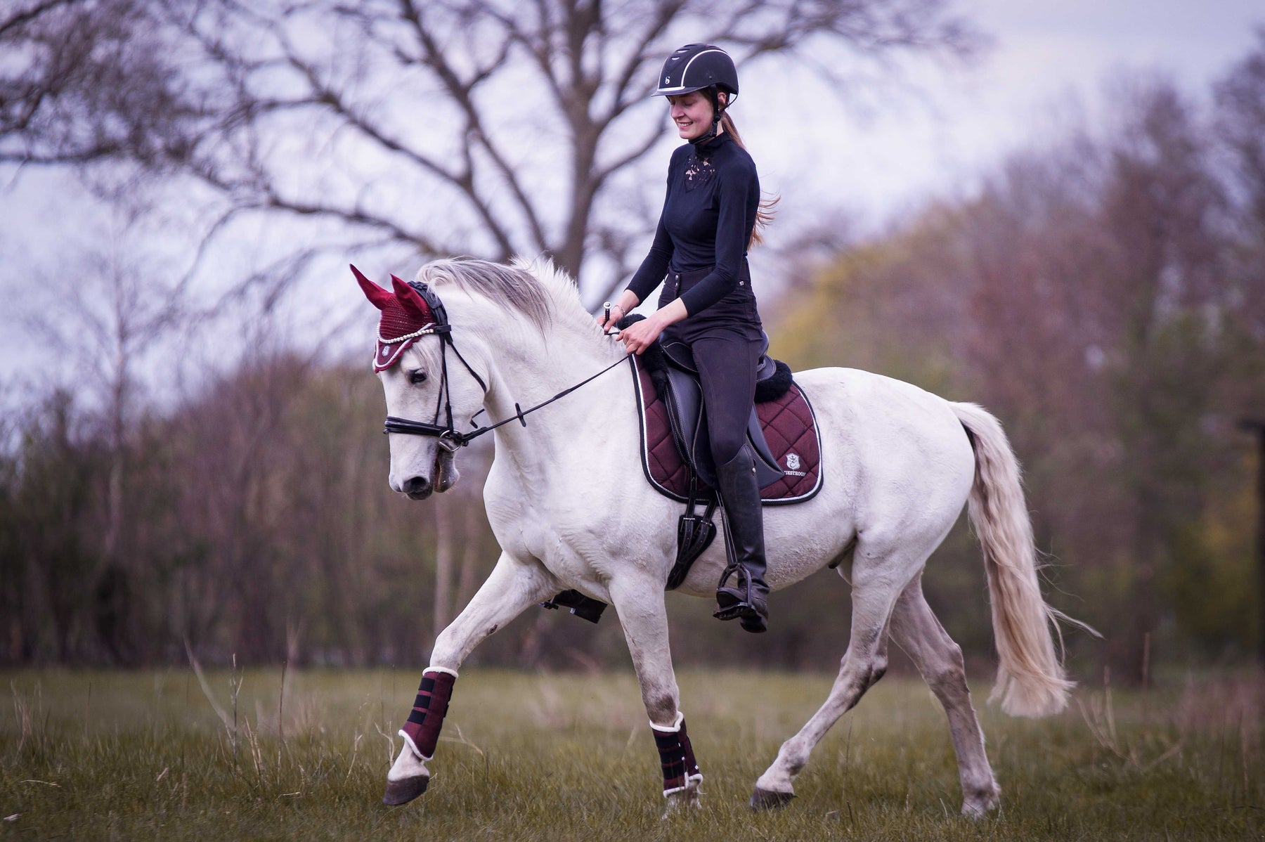 Burgundy Brushing Boots Equestroom