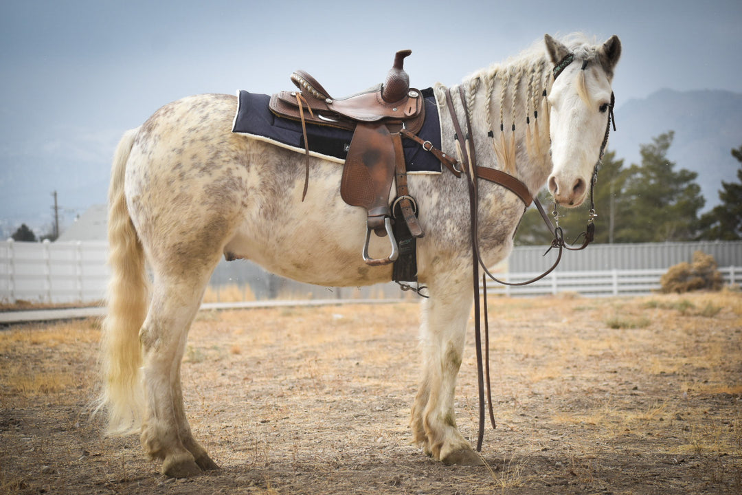 Deep Sapphire Western Saddle Pad
