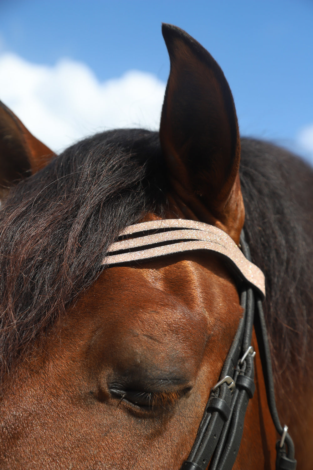 Browband