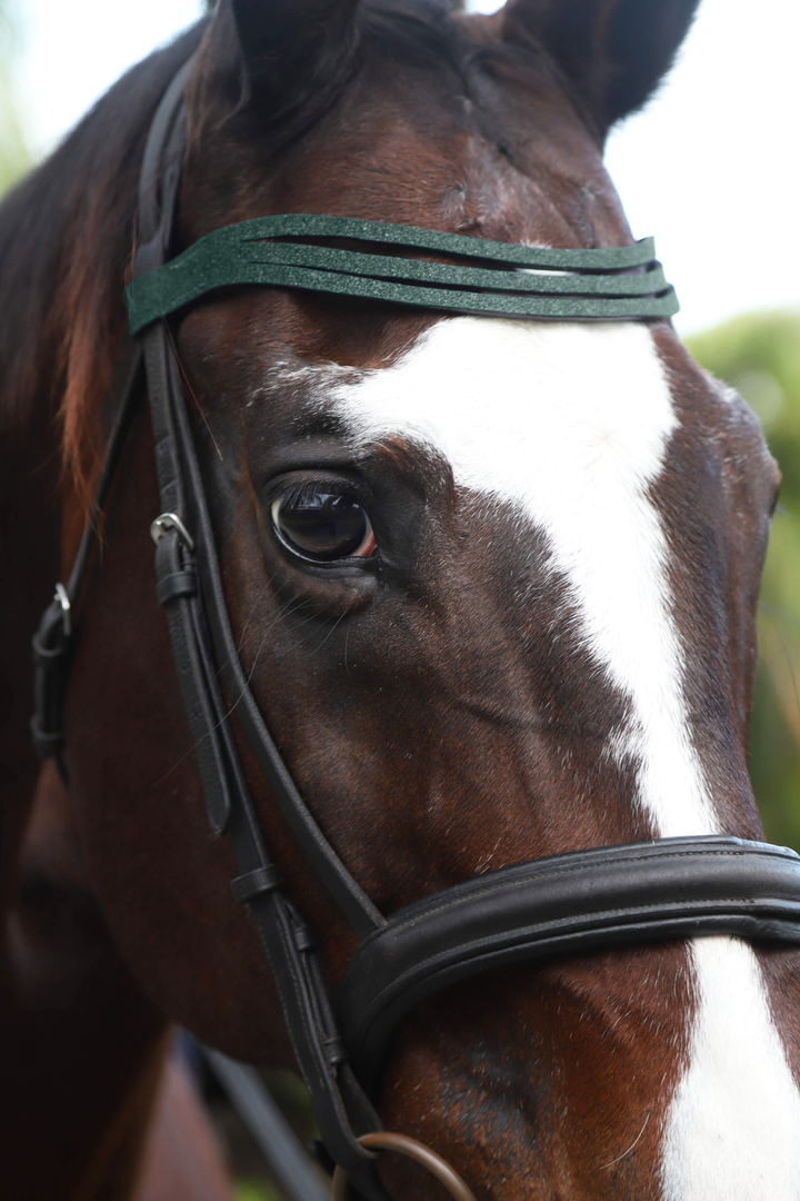 Jade Green Browband