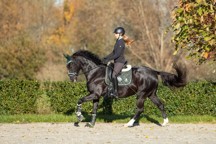 Jade Green Saddle Pad Set (all-purpose)