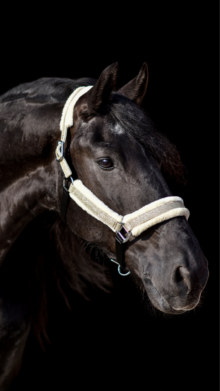 Champagne Halter