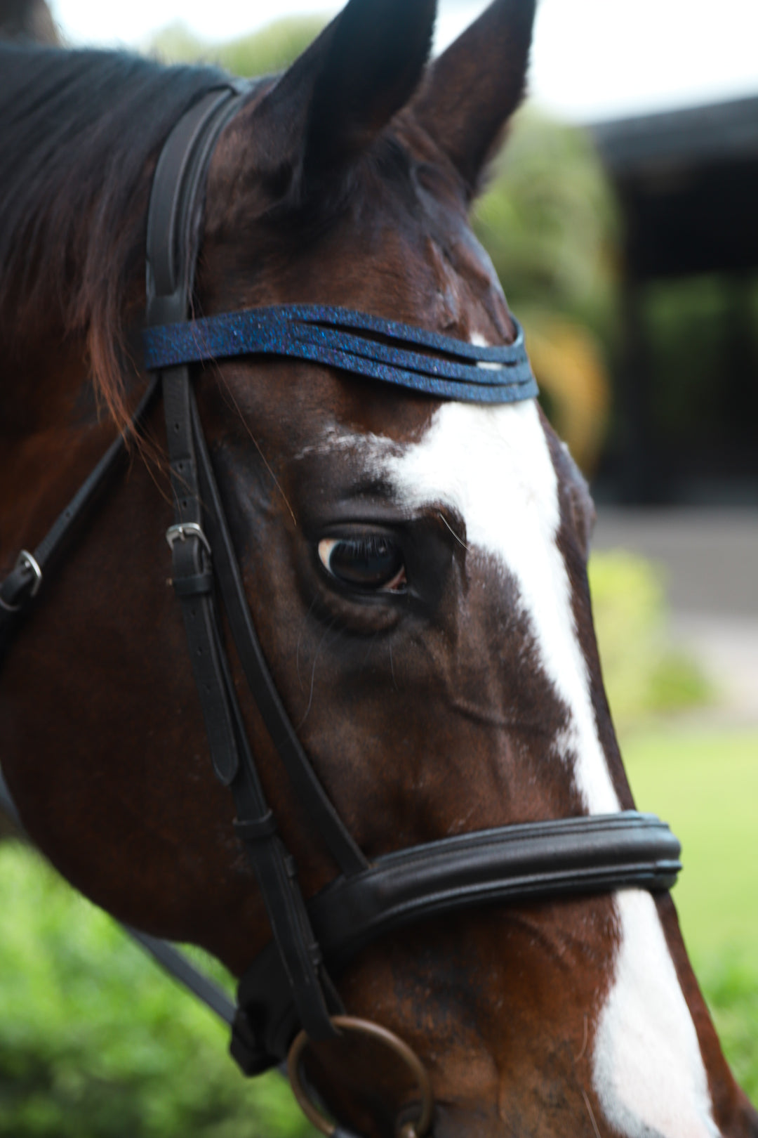 Deep Sapphire Browband