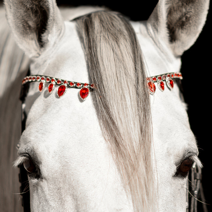 Scarlet Red Browband