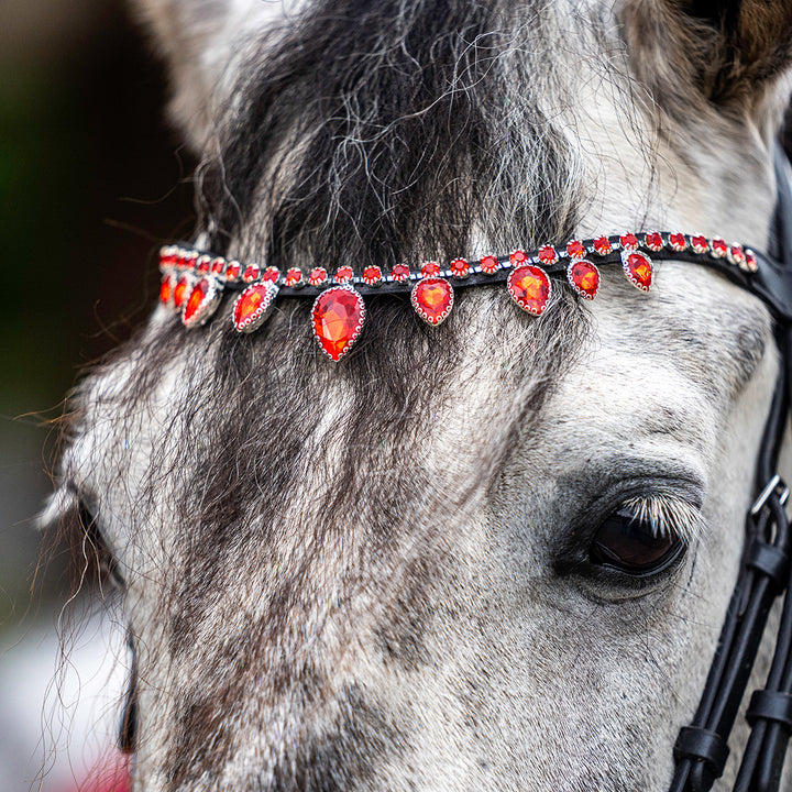 Scarlet Red Browband