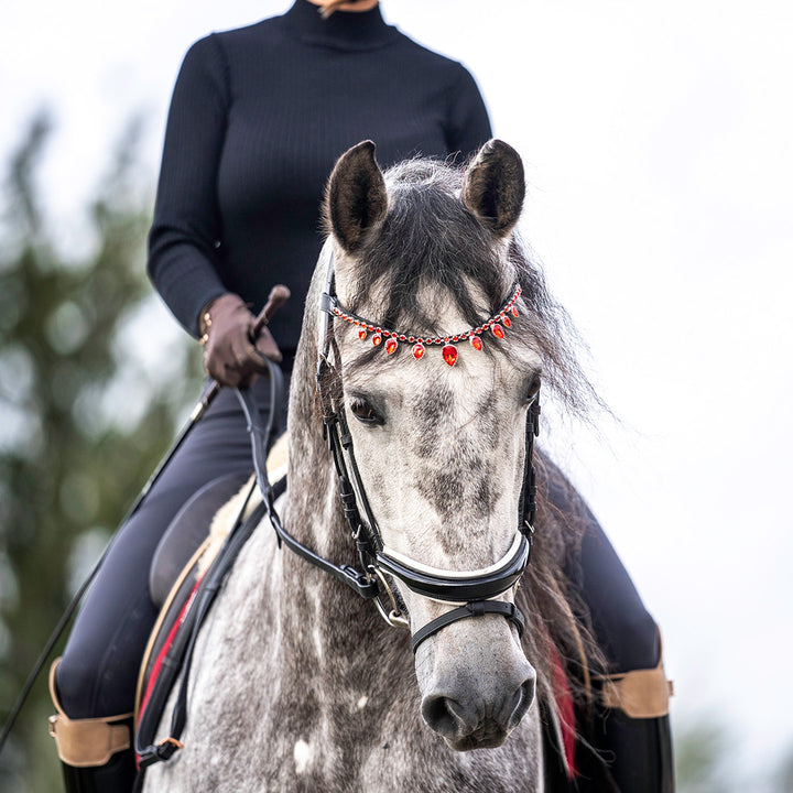 Scarlet Red Browband