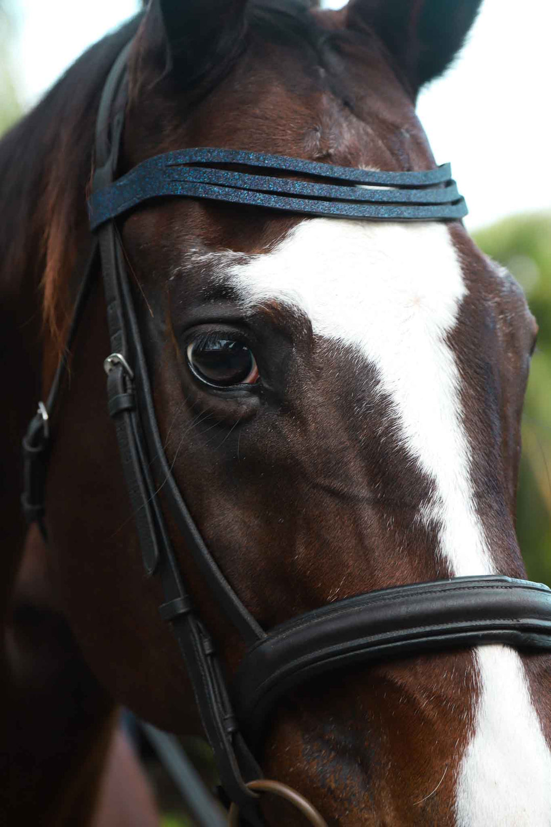 Deep Sapphire Browband