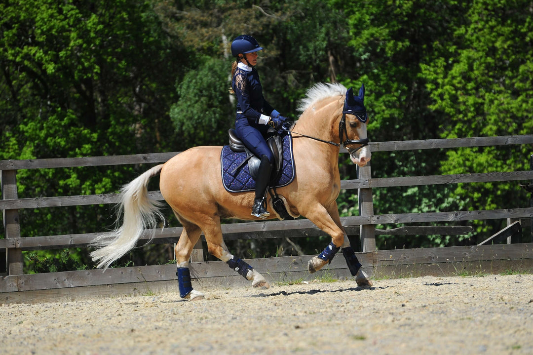 Deep Sapphire Saddle Pad Set