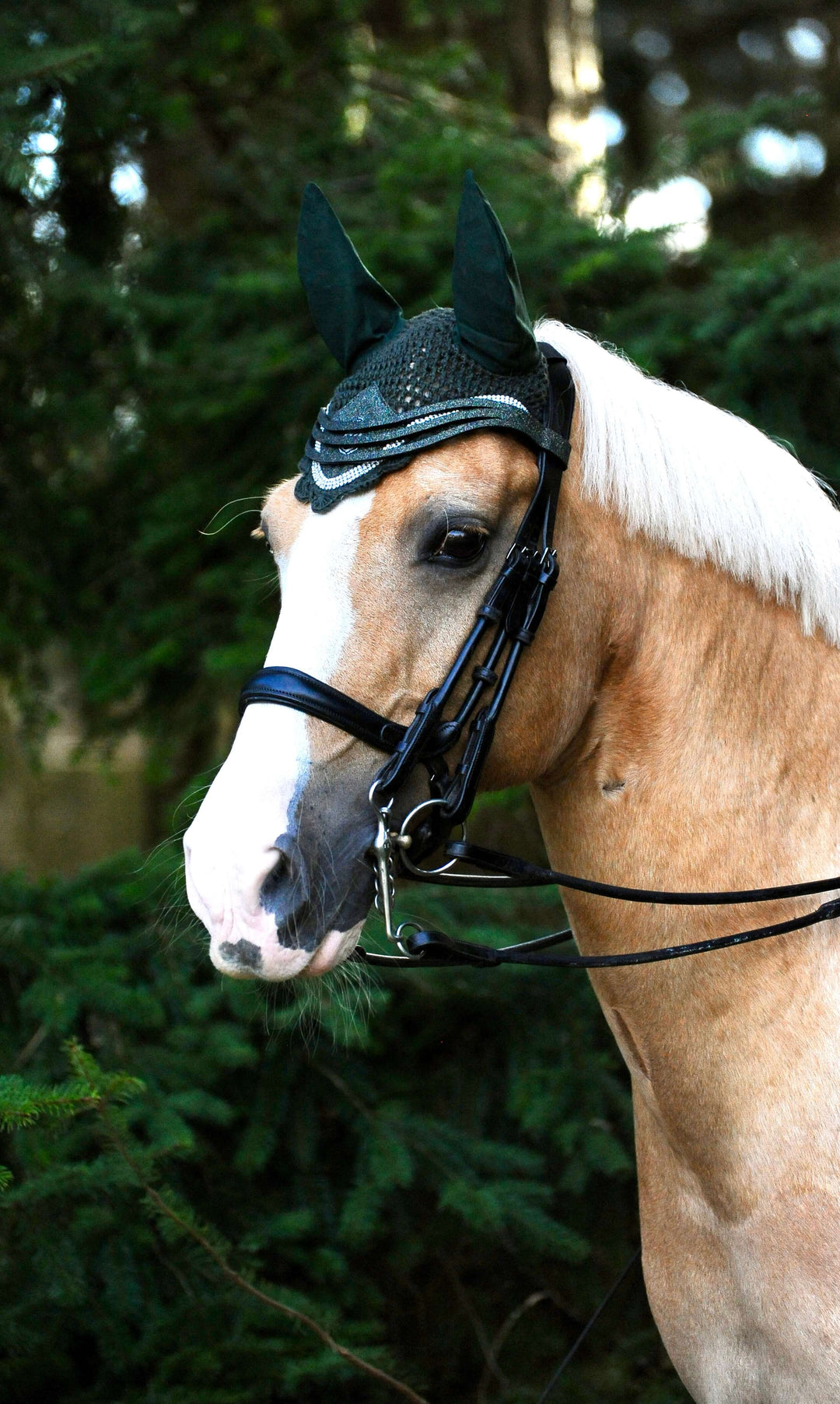 Jade Green Browband