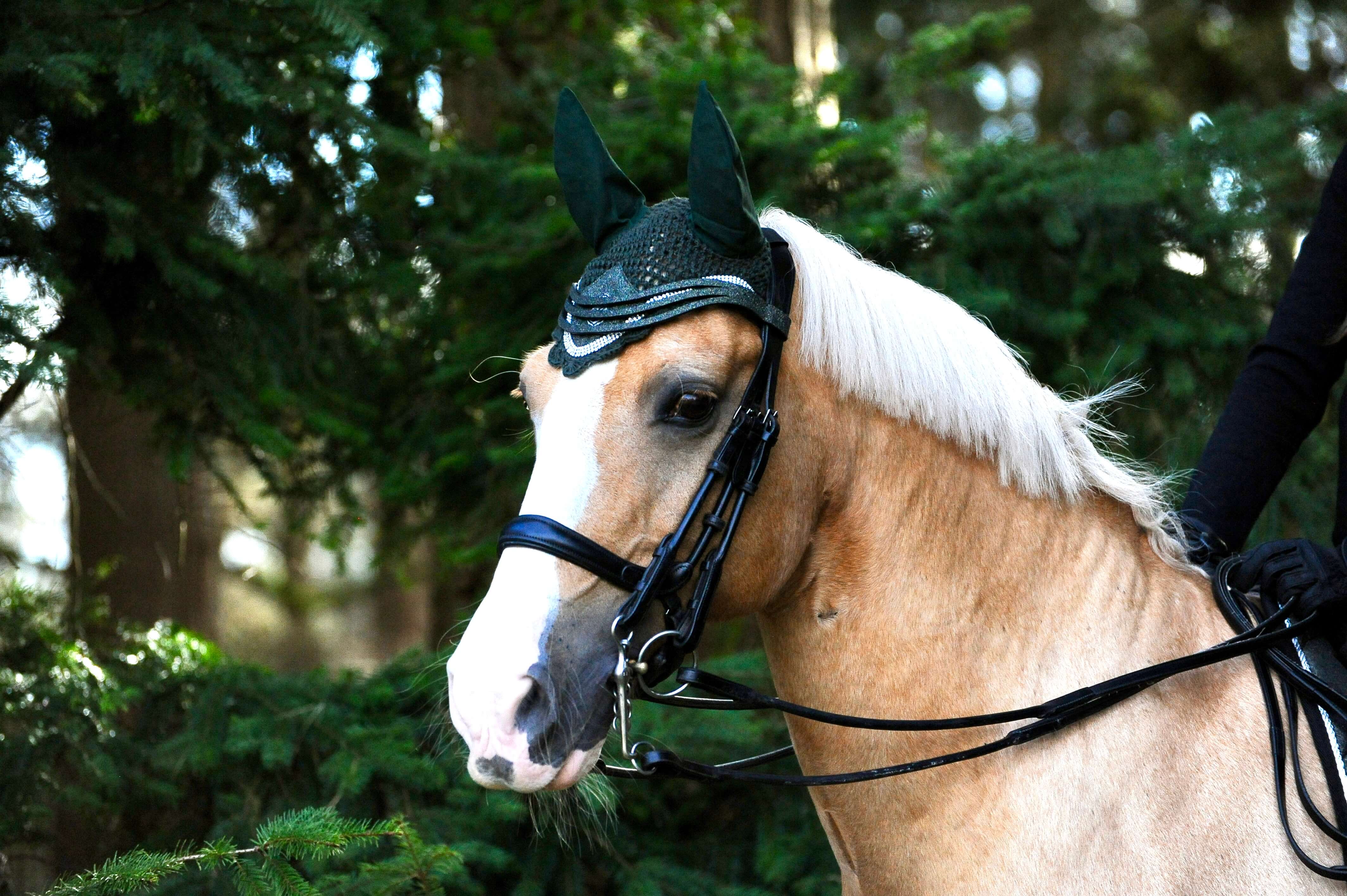 Jade Green Saddle Pad Set