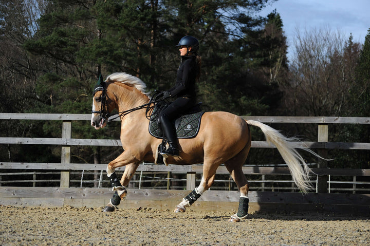 Jade Green Saddle Pad