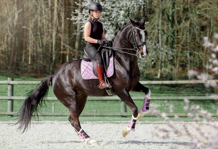 Lavender Saddle Pad