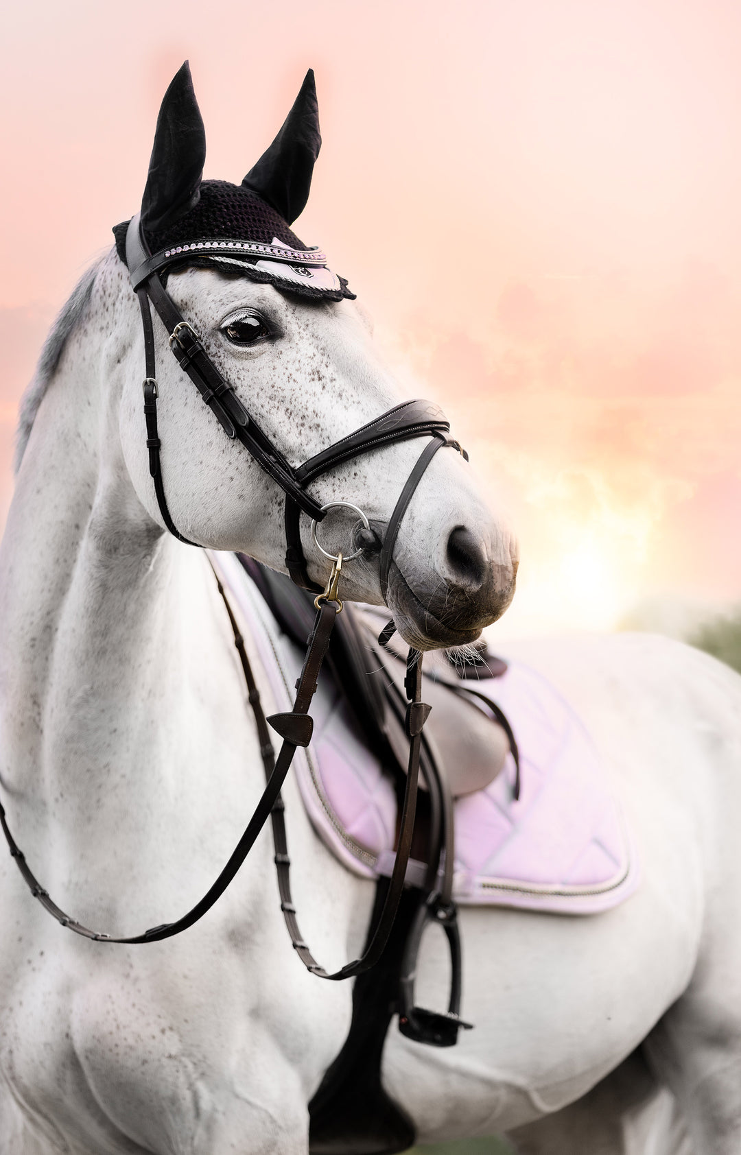 Frosted Lilac Browband