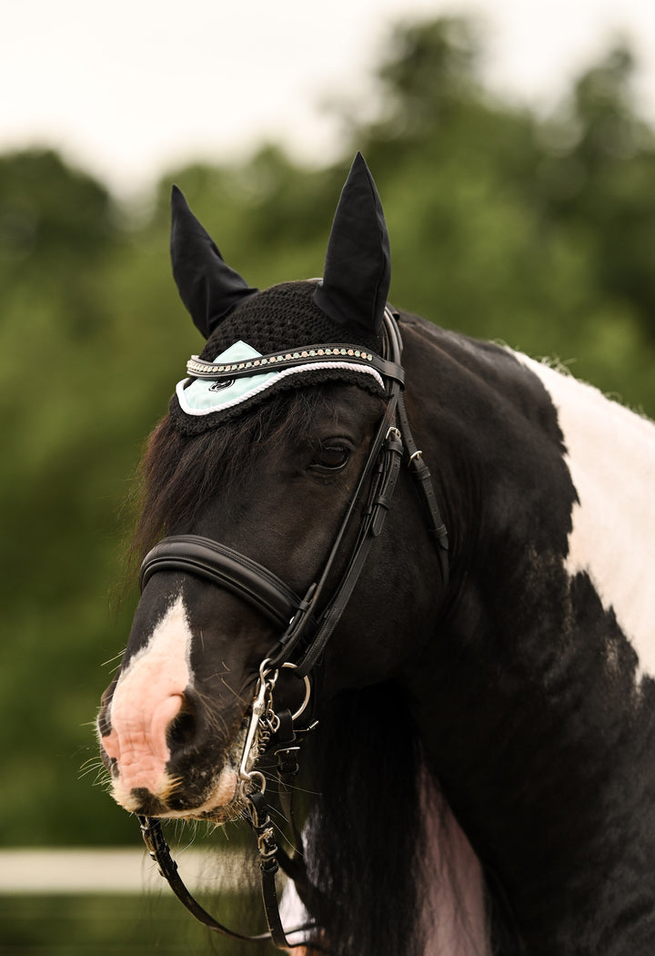 Mint and Gold Browband