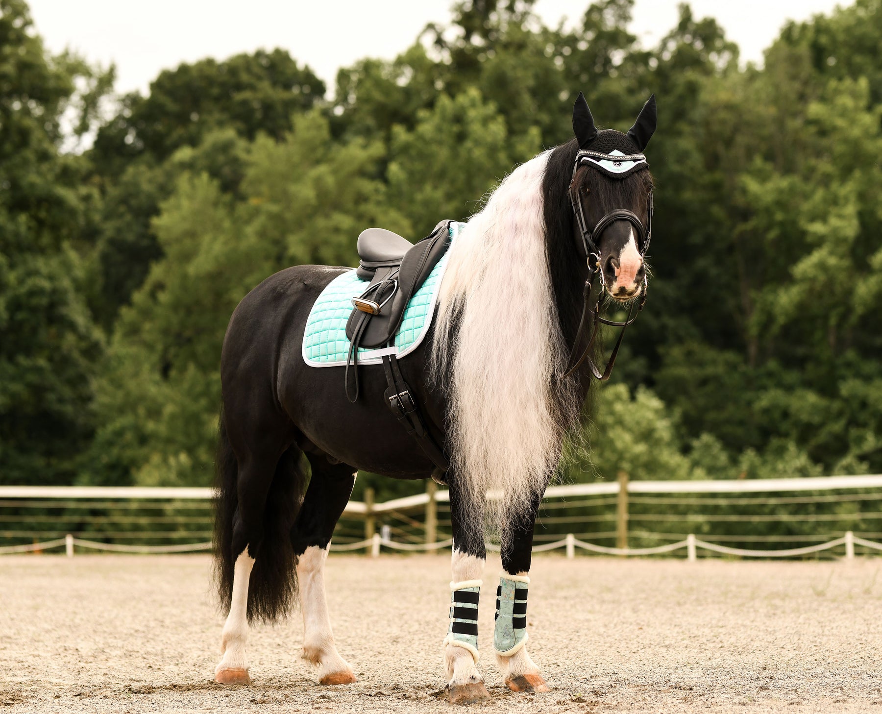 Mint green western saddle pad online