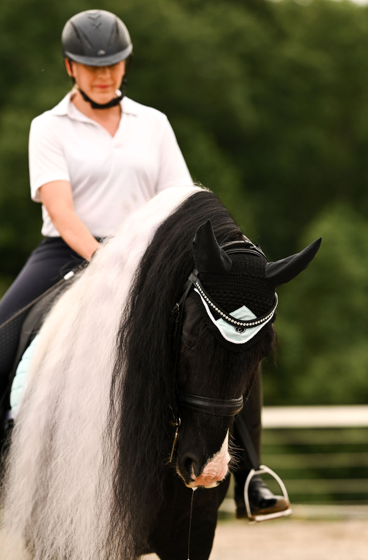 Mint and Gold Browband